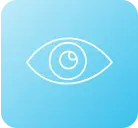 vision